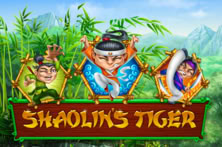 Shaolin Tiger