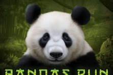 Pandas Run