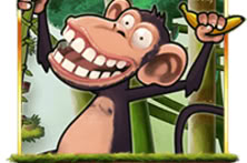Mad Monkey