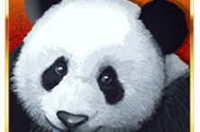 Lucky Panda