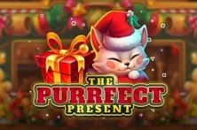 The Purrfect Present