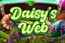 Daisy S Web