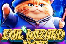 Evil Wizard Cat