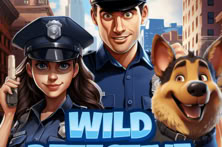 Wild Detective