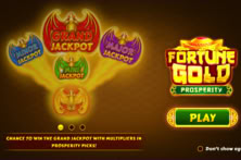 Fortune Gold Prosperity