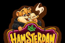 Hamsterdam