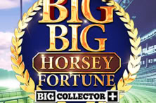 Big Big Horsey Fortune