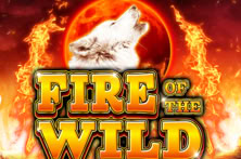 Fire Of The Wild