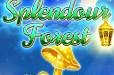 Splendour Forest