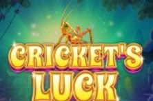 Cricket S Luck