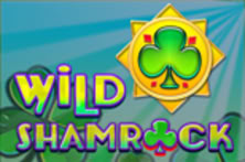 Wild Shamrock
