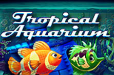 Tropical Aquarium