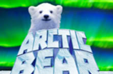 Arctic Bear
