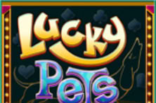 Lucky Pets