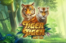 Tiger Tiger