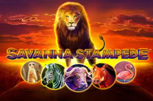 Savanna Stampede
