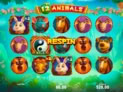 12 Animals
