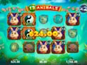 12 Animals