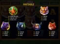 Tiger Jungle