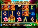 Wild Krakatoa