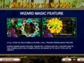 Wizard of the Woods