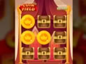 Coin Field