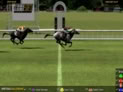 Virtual Racebook 3D