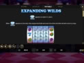 Wilds of Fortune