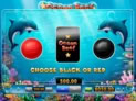 Ocean Reef