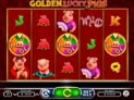 Golden Lucky Pigs