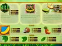 Crazy Bananas