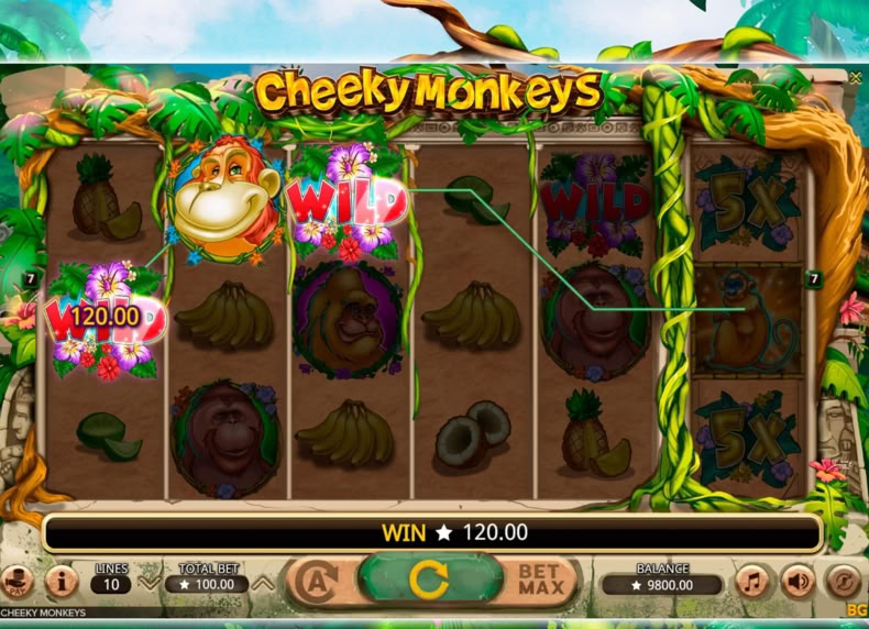 Cheeky Monkeys game - play for free