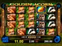 Golden Acorn
