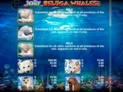 Jolly Beluga Whales
