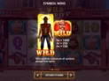 Wild Sheriff