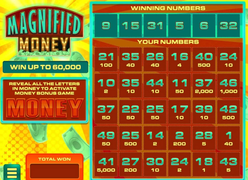 Magnified Money game - play for free