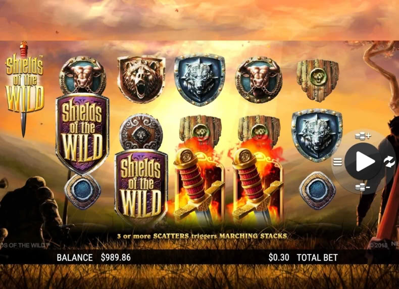 Shields of the Wild game - play for free
