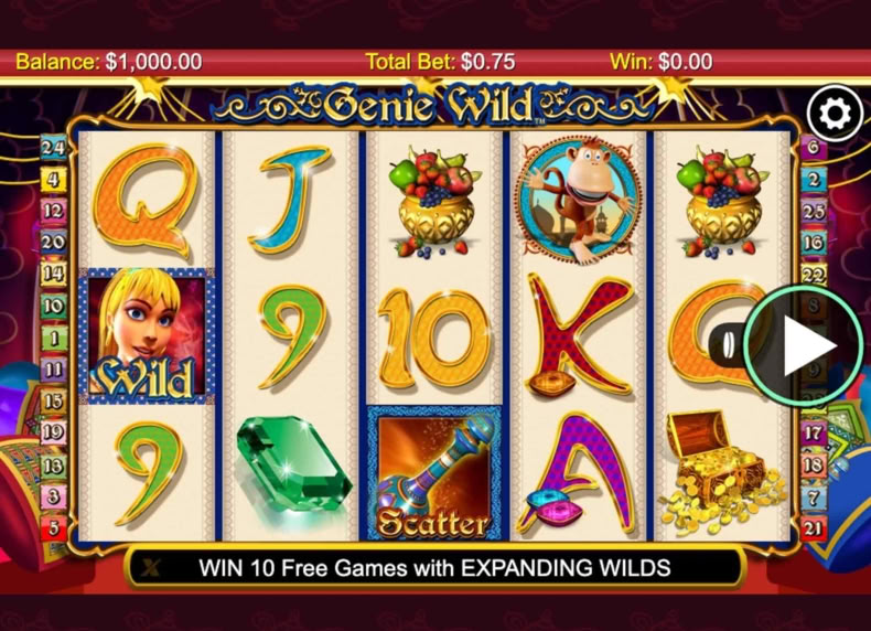 Genie Wild game - play for free