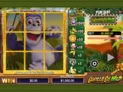 Scratch Gorilla Go Wild