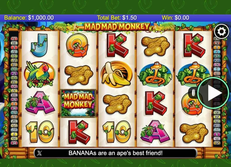 Mad Mad Monkey game - play for free