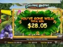 Gorilla Go Wild