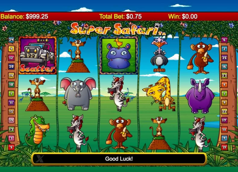 Super Safari game - play for free