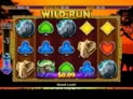 Wild Run