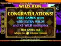 Wild Run