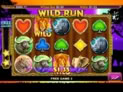 Wild Run