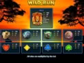 Wild Run