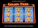Golden Tiger