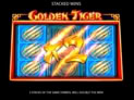 Golden Tiger