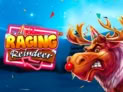 Raging Reindeer