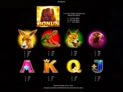 Roo Riches